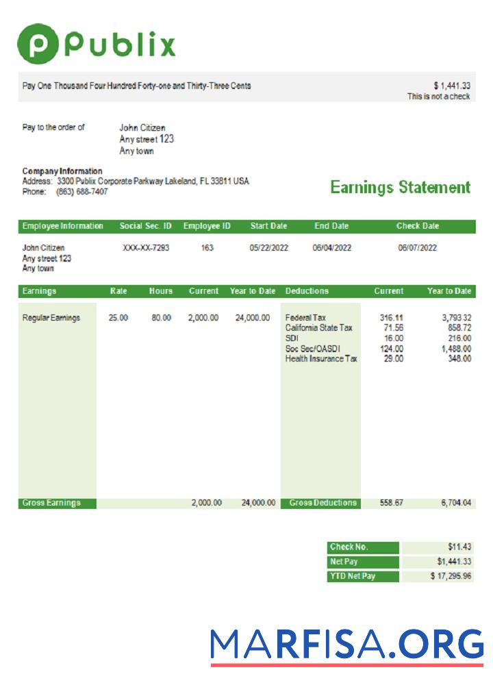 Realistic USA Publix Super Markets Inc. supermarket company pay stub example